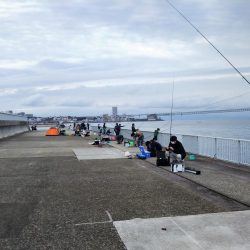 新子の成長が速い