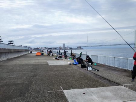 新子の成長が速い