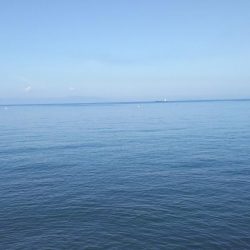 秋の青物狙いpart 2