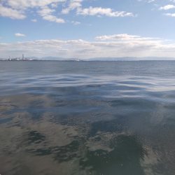 友人と武庫川一文字へ