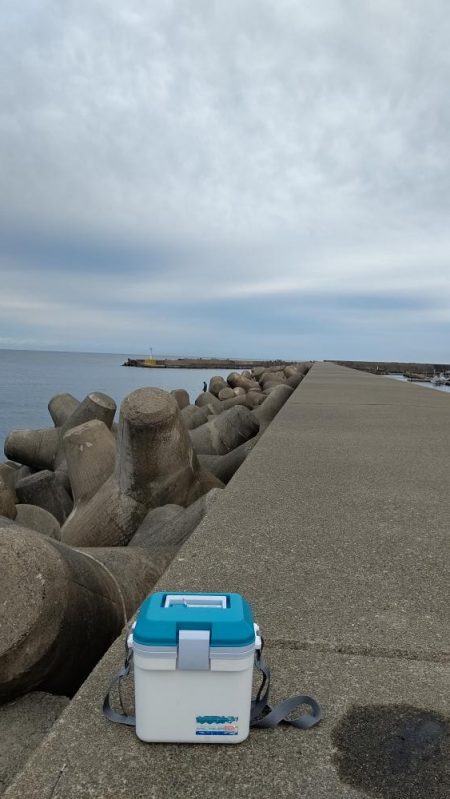 久しぶりのエギング