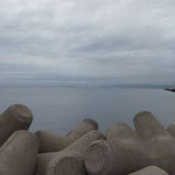 必死のランディング