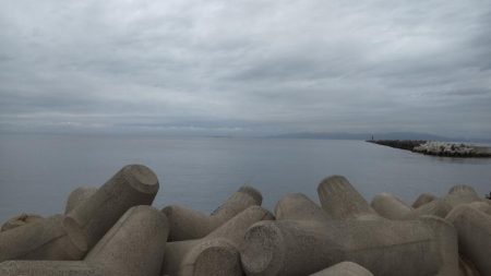 必死のランディング