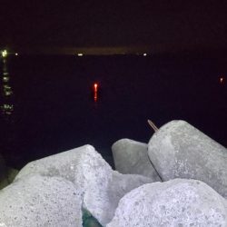 満足のナイトゲーム