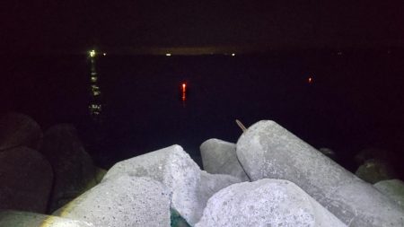 満足のナイトゲーム