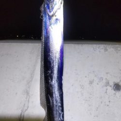 ナイトゲーム楽しかった!