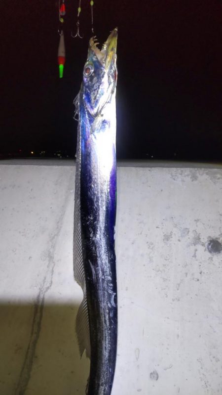 ナイトゲーム楽しかった!