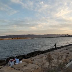 タチウオとイケカツオ？