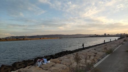 タチウオとイケカツオ？