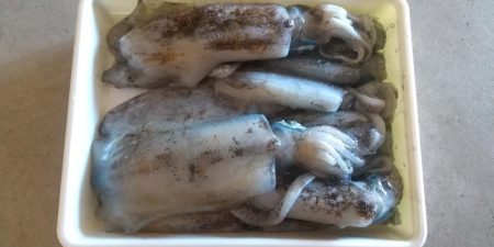 サーフエギング