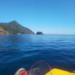 数釣り時期終わってた(> < )💦