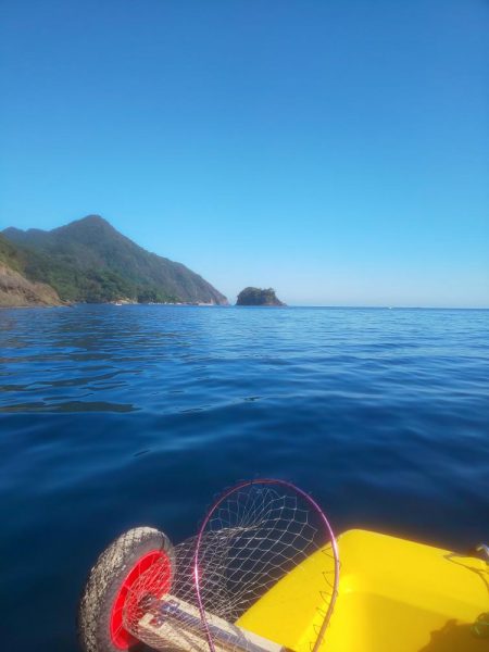 数釣り時期終わってた(> < )💦