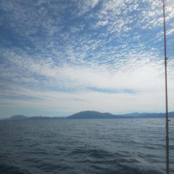 ペンペン＆サバフグ大暴れ