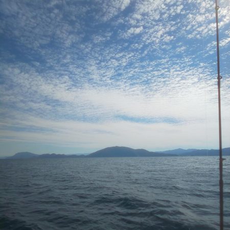 ペンペン＆サバフグ大暴れ