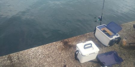 大潮だったのに