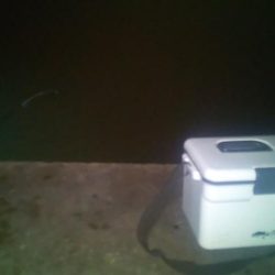 エギングとヤエン