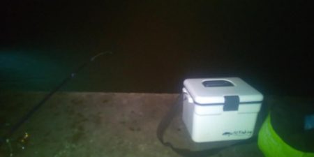 エギングとヤエン