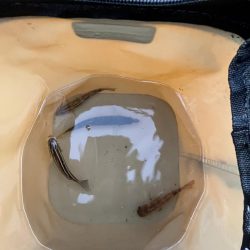 ノーハイシーズン