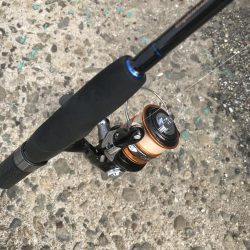 デイゲームでガシラ釣り