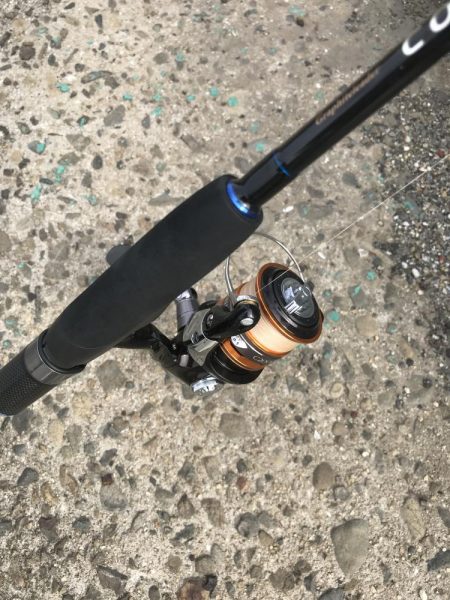 デイゲームでガシラ釣り