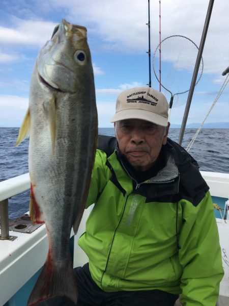 ♯青物ジギング