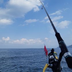 イカの気持ち６