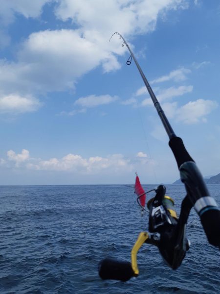 イカの気持ち６