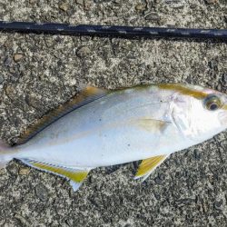 今日も安定のネイリ(苦笑;)