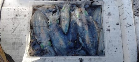 マイボートエギング