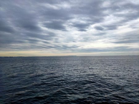 シーバスとアジとセイゴ