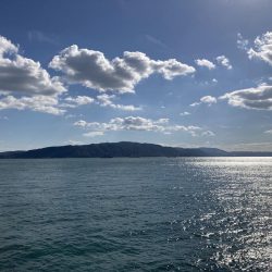 良型秋グレにシオ