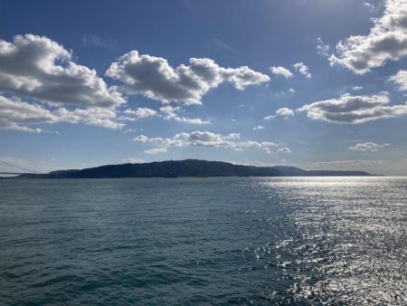 良型秋グレにシオ