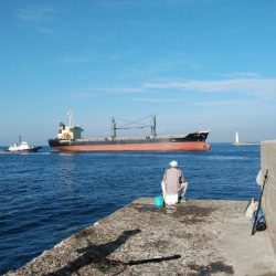 良型キスが釣れました