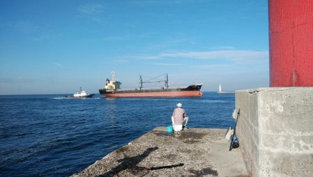 良型キスが釣れました