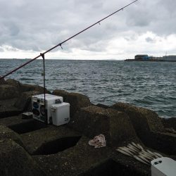 東二見西水路のキス釣査