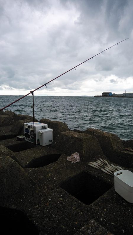 東二見西水路のキス釣査
