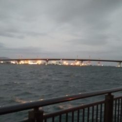 夕マズメ神戸空港でメジロ