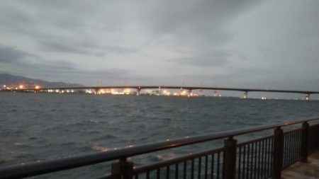 夕マズメ神戸空港でメジロ