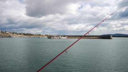 江井ヶ島のキス調査