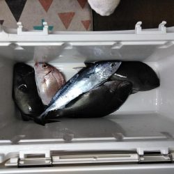 フカセ‥最高ですネ・・