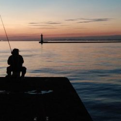 播磨新島のキス連日調査