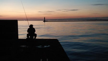 播磨新島のキス連日調査