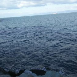 秋の青物狙いpart3～5