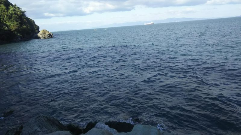 秋の青物狙いpart3～5