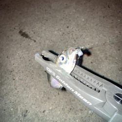 ギョーザとビールは合う