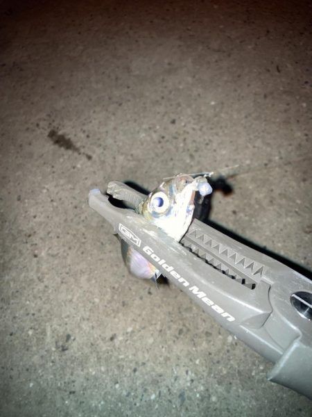 ギョーザとビールは合う