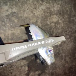 雨後のアジング