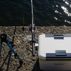 エビ撒き釣り　ハネの気配なくアジ・サバばかり