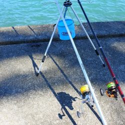 秋晴れのキス釣り　落ちギスはまだ早い？