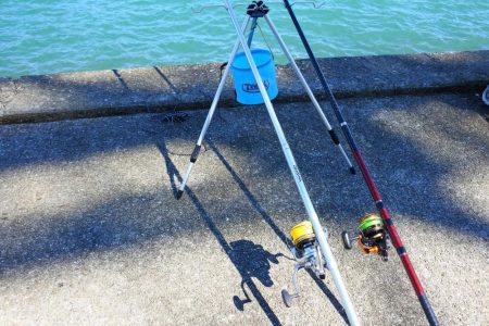 秋晴れのキス釣り　落ちギスはまだ早い？